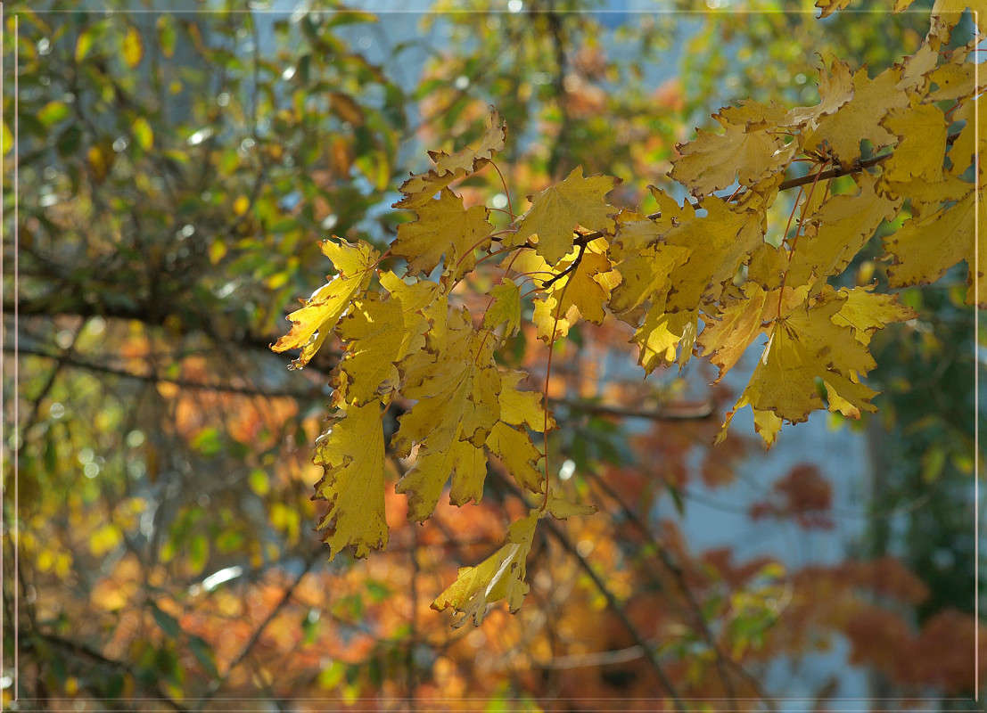 �������  20 ����� ������  �� PhotoGeek.ru #������ ��� �������