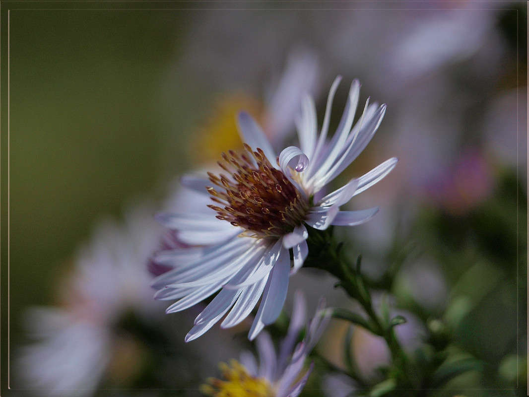 �������� � ������� ����� ������  �� PhotoGeek.ru #������ ��� �������