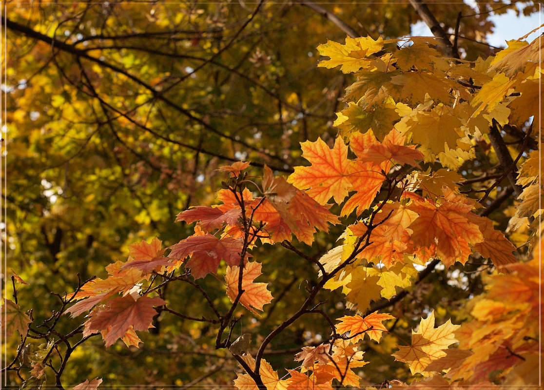 �������  21 ����� ������  �� PhotoGeek.ru #������ ��� �������