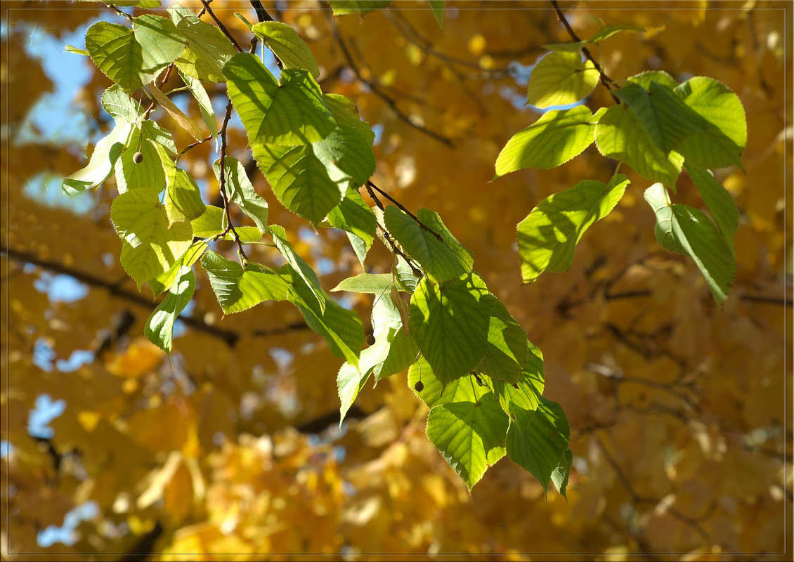 ������� 22 ����� ������  �� PhotoGeek.ru #������ ��� �������