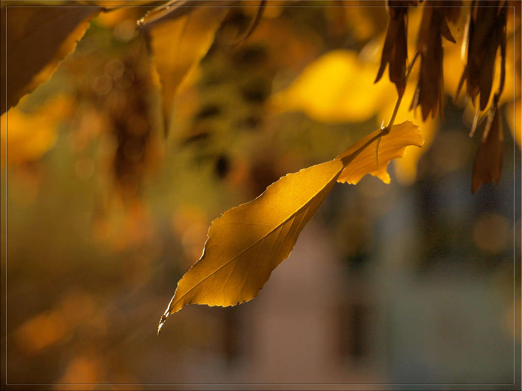 ������� 30 ����� ������  �� PhotoGeek.ru #������ ��� �������