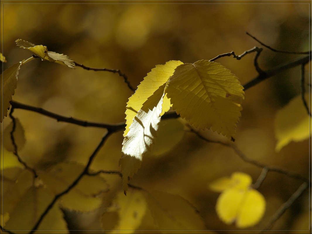 ������� 31 ����� ������  �� PhotoGeek.ru #������ ��� �������