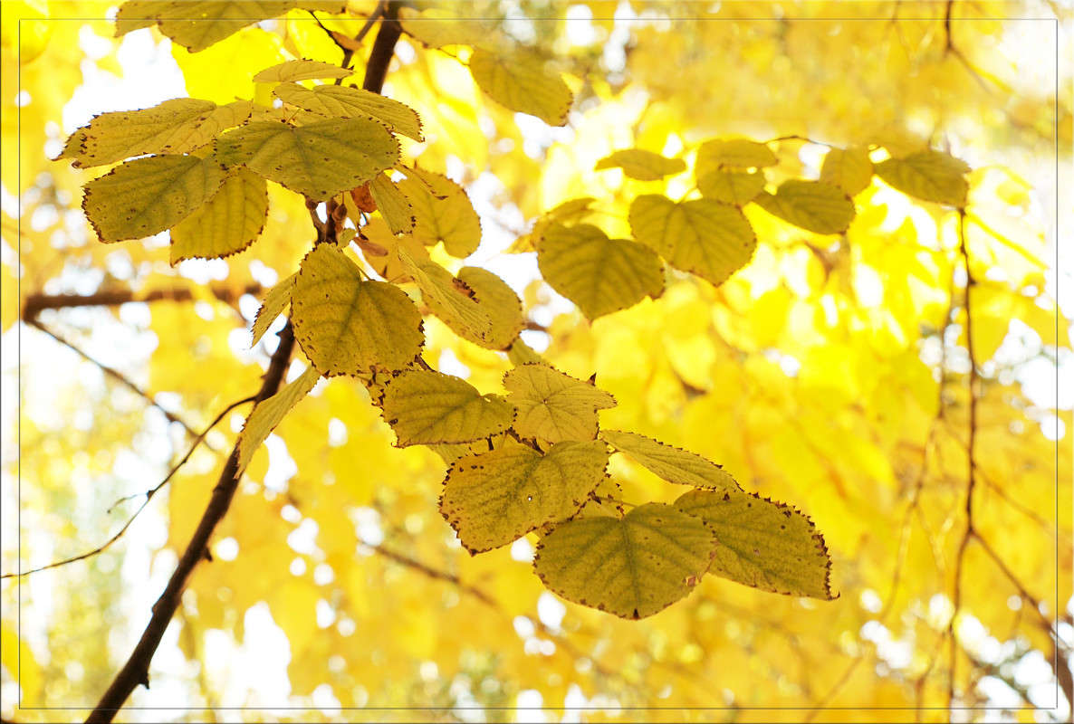 ������� 32 ����� ������  �� PhotoGeek.ru #������ ��� �������