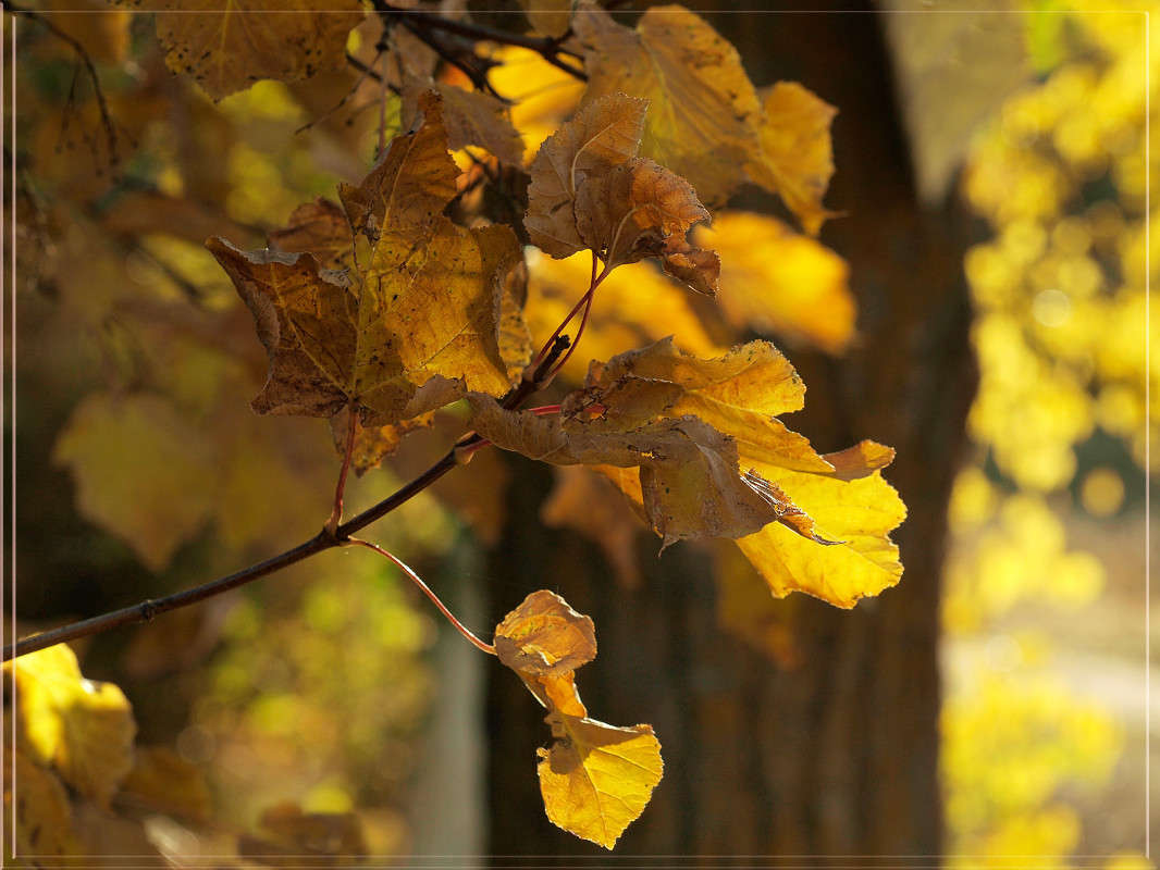 �������  34 ����� ������  �� PhotoGeek.ru #������ ��� �������