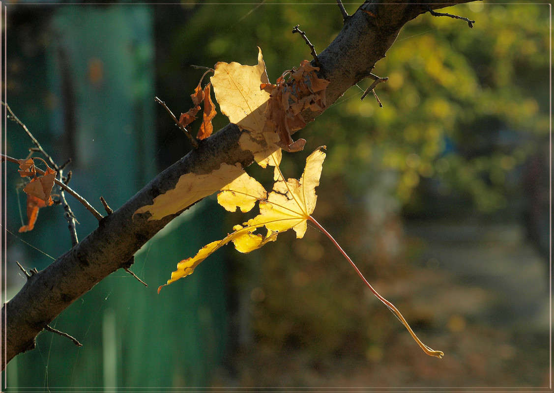 �� ������� ����� ������  �� PhotoGeek.ru #������ ��� �������