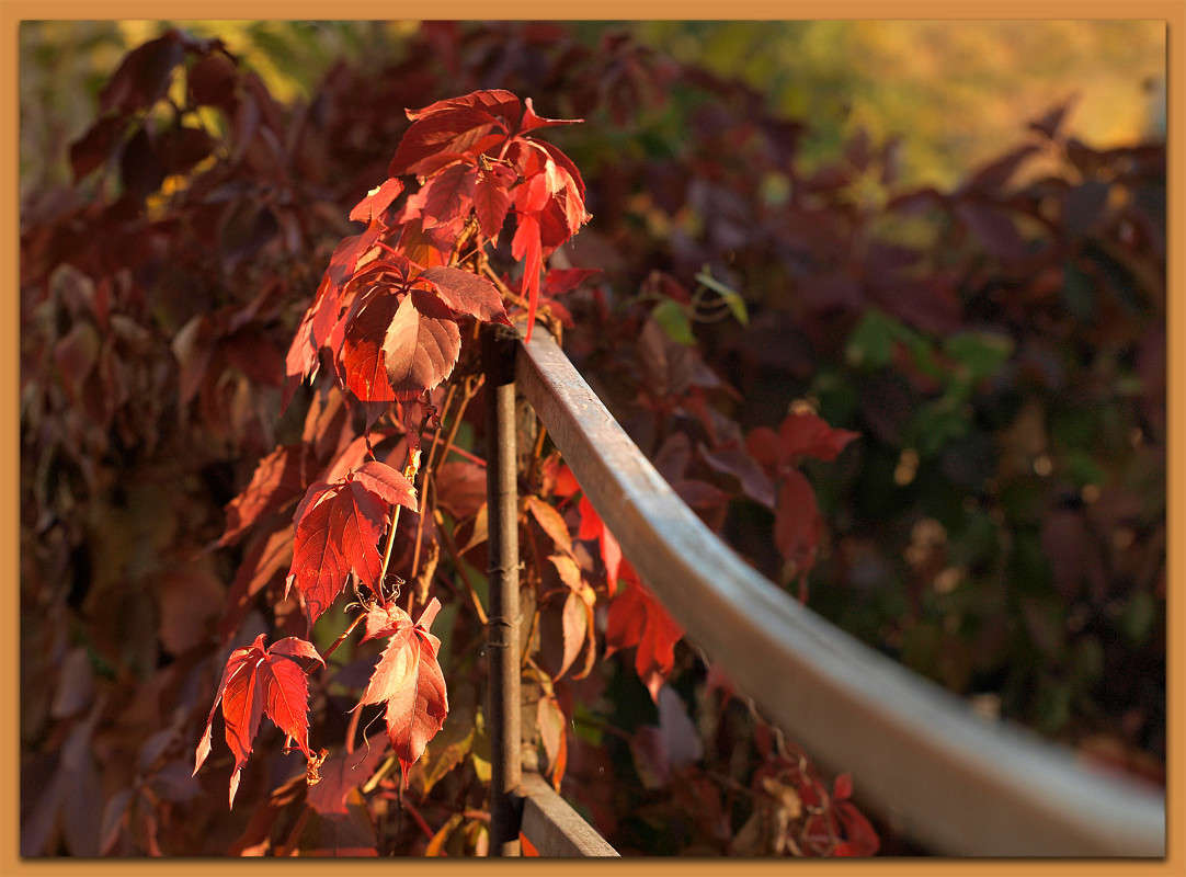 �� ������ ����� ������  �� PhotoGeek.ru #������ ��� �������