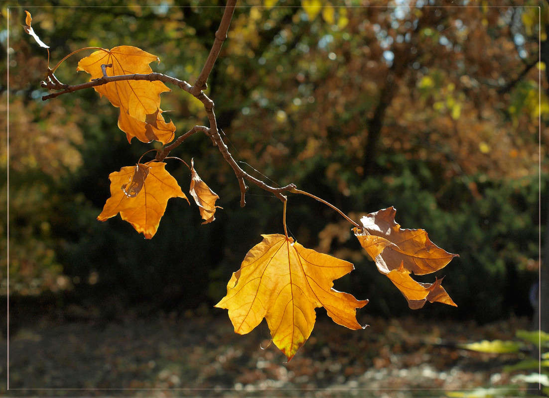 �������  33 ����� ������  �� PhotoGeek.ru #������ ��� �������