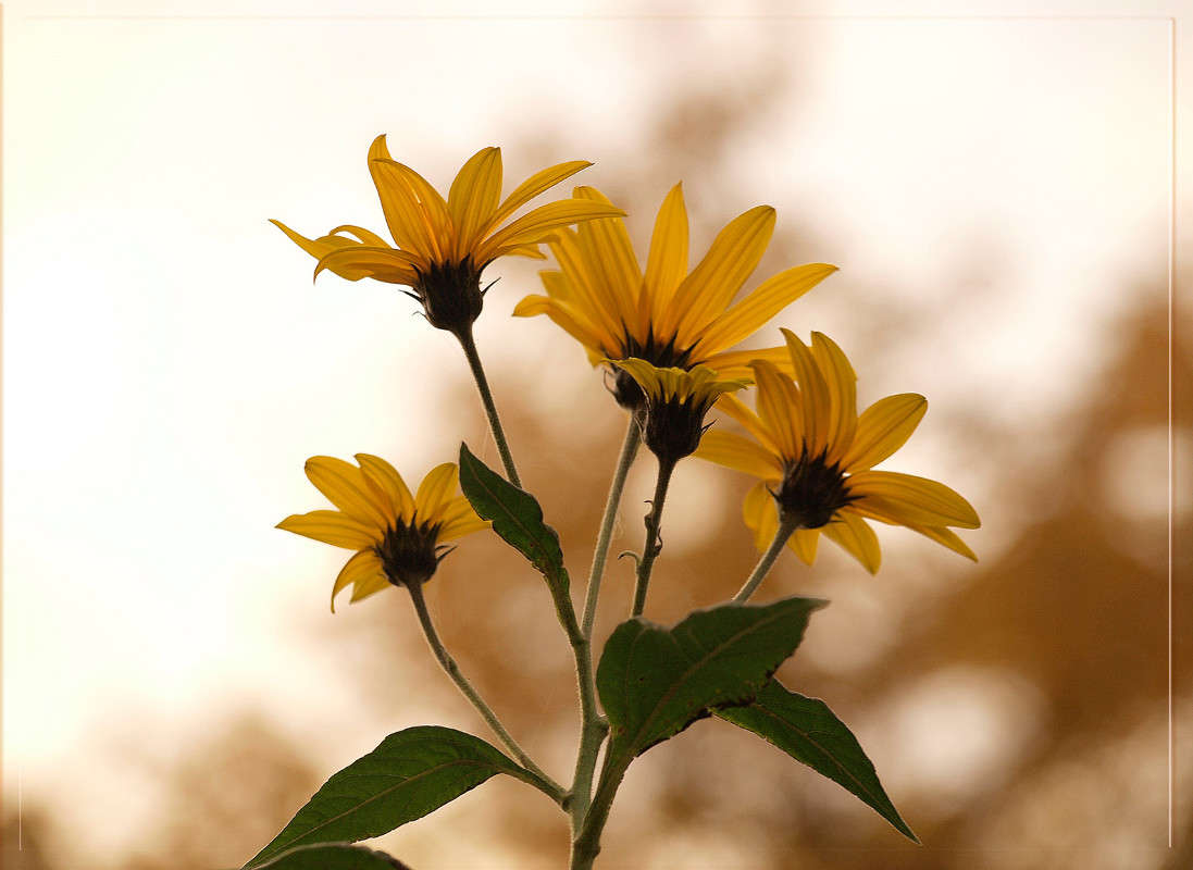 ��������� ������� 2 ����� ������  �� PhotoGeek.ru #������ ��� �������