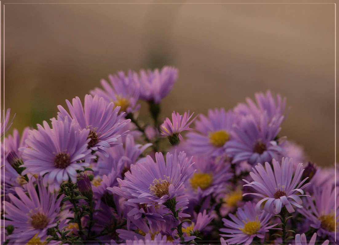 ��������� ������� ����� ������  �� PhotoGeek.ru #������ ��� �������