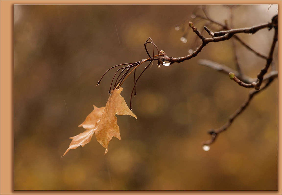 ������� ����� ������  �� PhotoGeek.ru #������ ��� �������