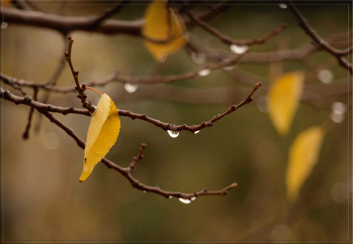 ������� 2 ����� ������  �� PhotoGeek.ru #������ ��� �������