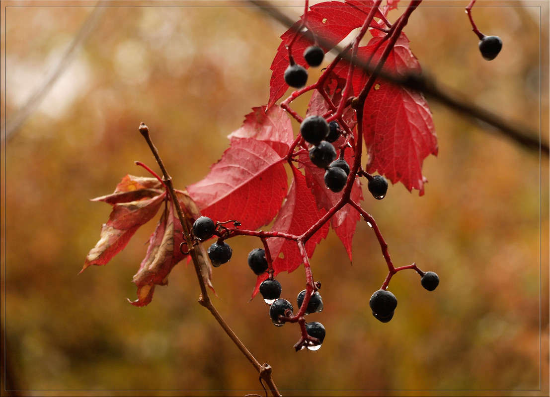 ��������� ����� ������  �� PhotoGeek.ru #������ ��� �������