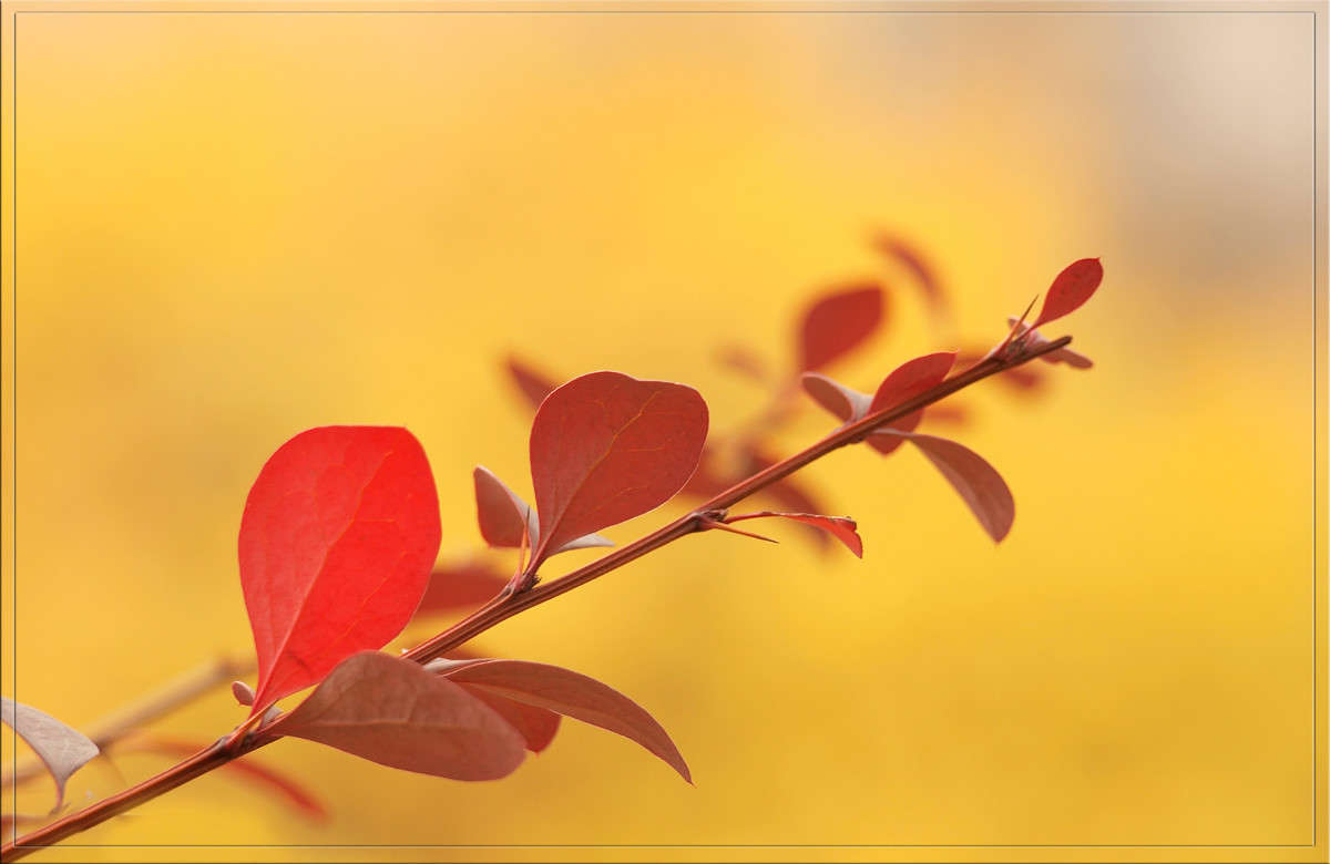 ������� ������� ����� ������  �� PhotoGeek.ru #������ ��� �������