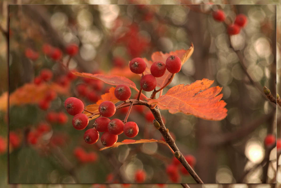 � �������� ����� 2 ����� ������  �� PhotoGeek.ru #������ ��� �������