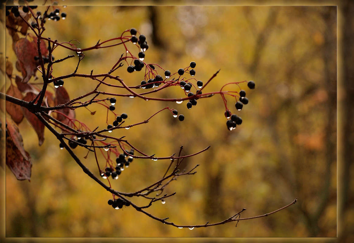 ������ � ����� ����� ������  �� PhotoGeek.ru #������ ��� �������