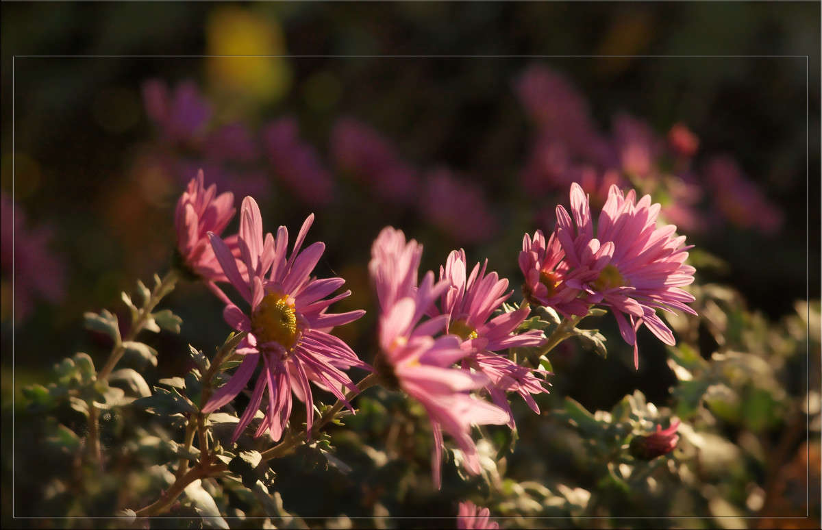 �������� ������� � ��� ��������� ����� ������  �� PhotoGeek.ru #������ ��� �������