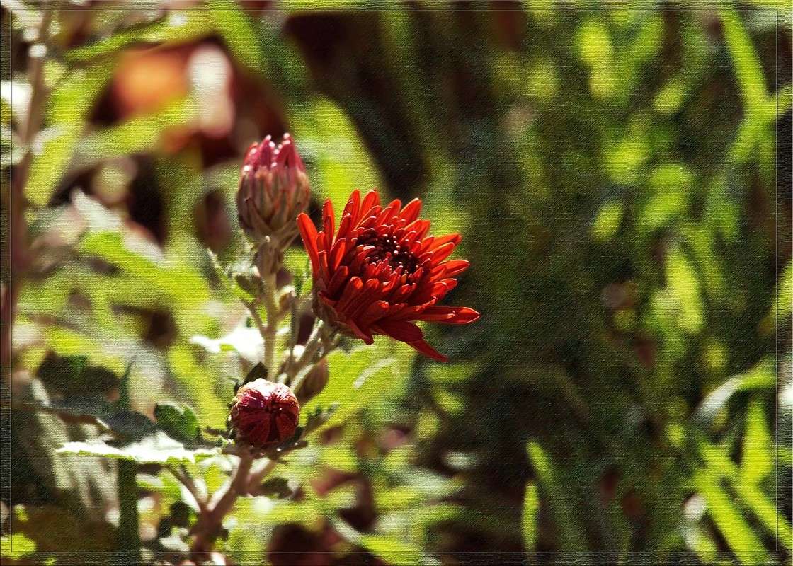 �������  35 ����� ������  �� PhotoGeek.ru #������ ��� �������