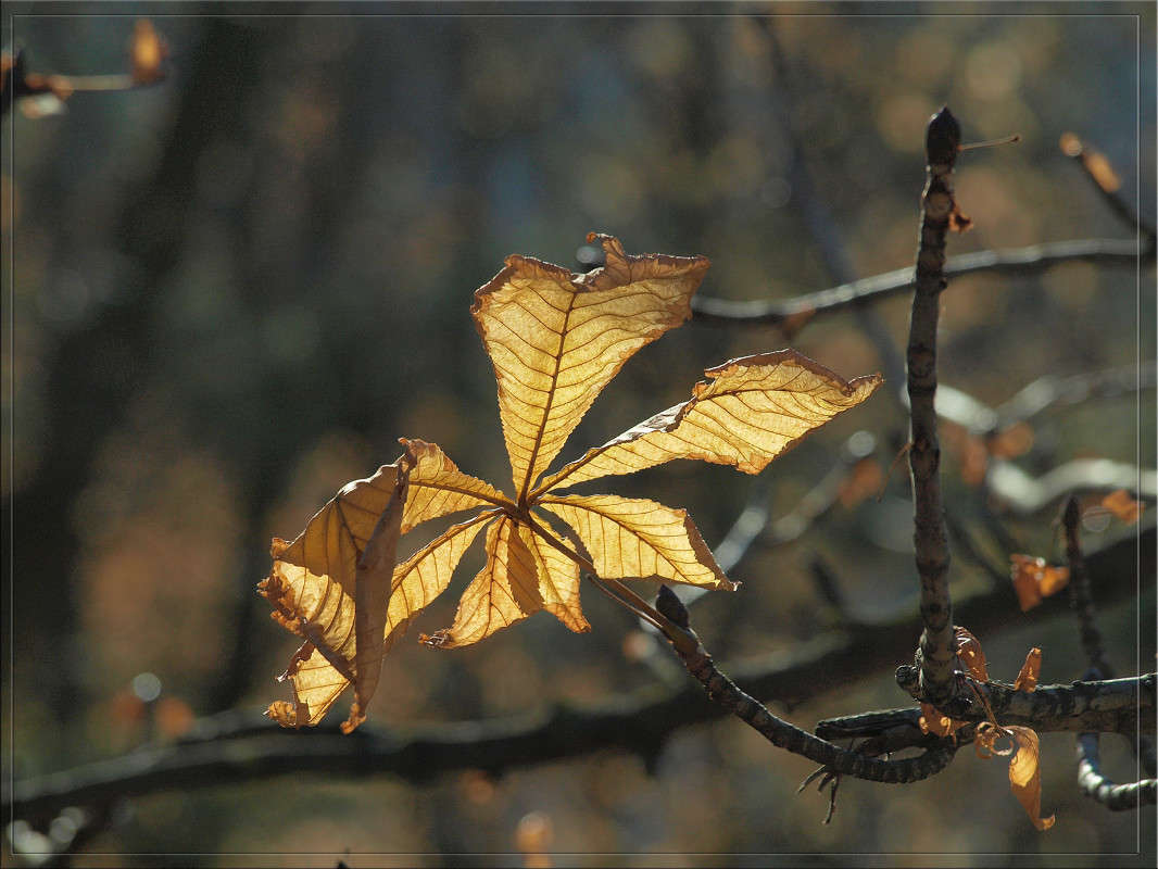 �������  36 ����� ������  �� PhotoGeek.ru #������ ��� �������