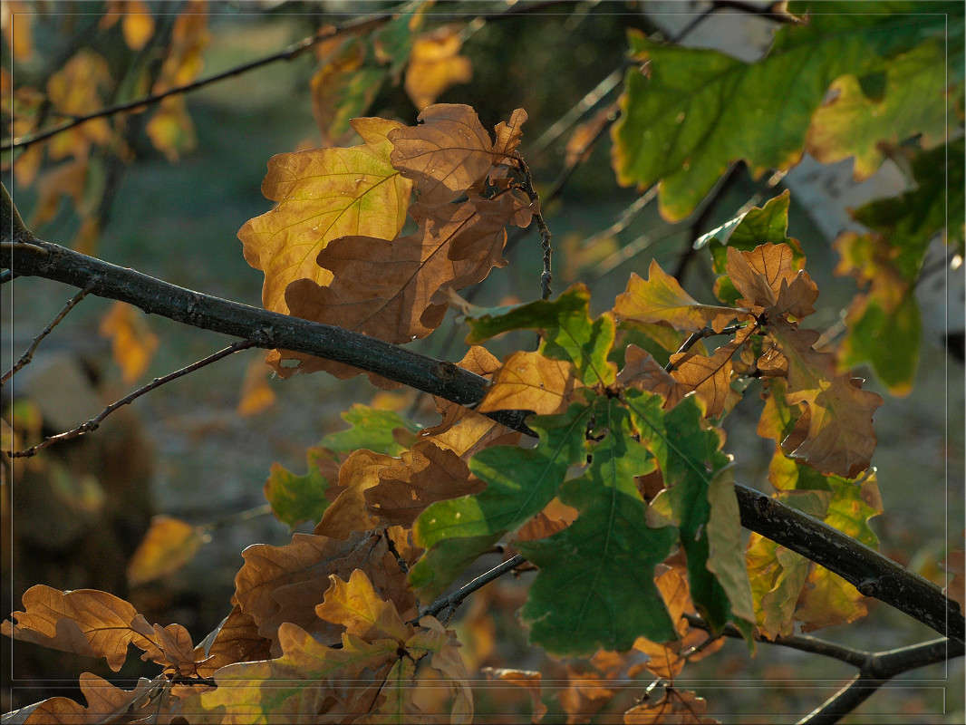 �������  37 ����� ������  �� PhotoGeek.ru #������ ��� �������