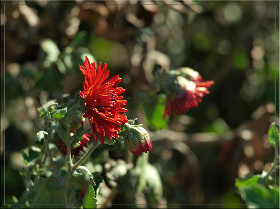 �������  38 ����� ������  �� PhotoGeek.ru #������ ��� �������