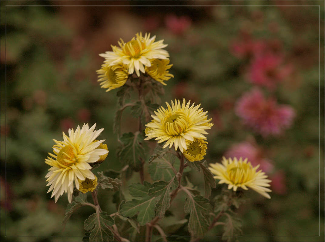 ����� ����� ������  �� PhotoGeek.ru #������ ��� �������