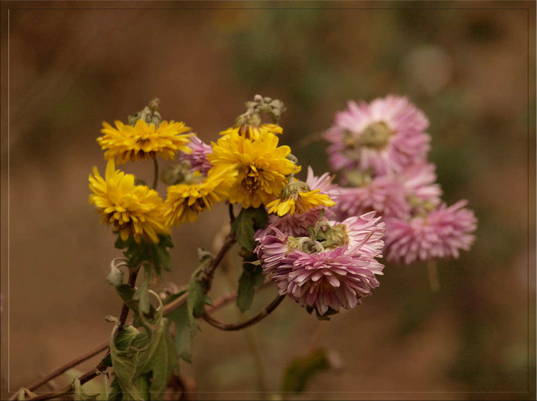����� 2 ����� ������  �� PhotoGeek.ru #������ ��� �������