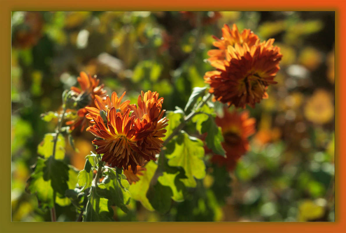 � ������ ����� ������  �� PhotoGeek.ru #������ ��� �������