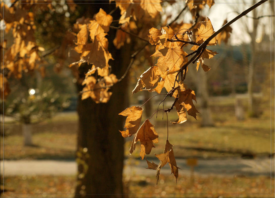 � ������ 2 ����� ������  �� PhotoGeek.ru #������ ��� �������