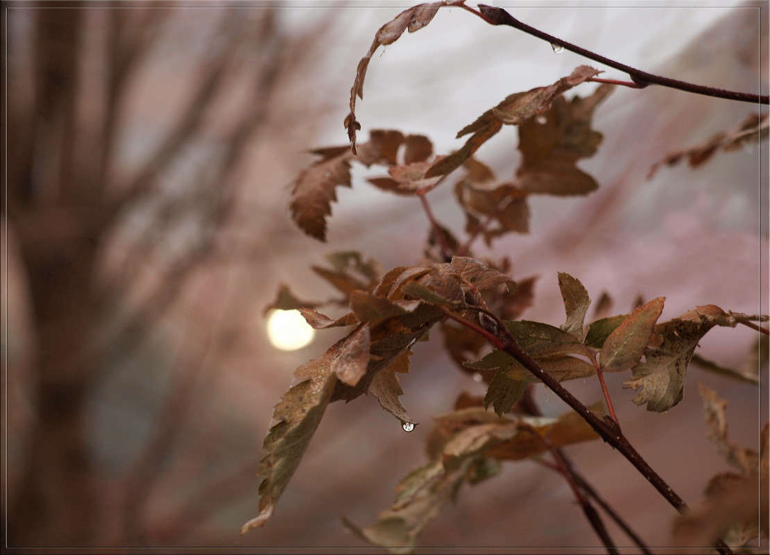 � ������ 3 ����� ������  �� PhotoGeek.ru #������ ��� �������