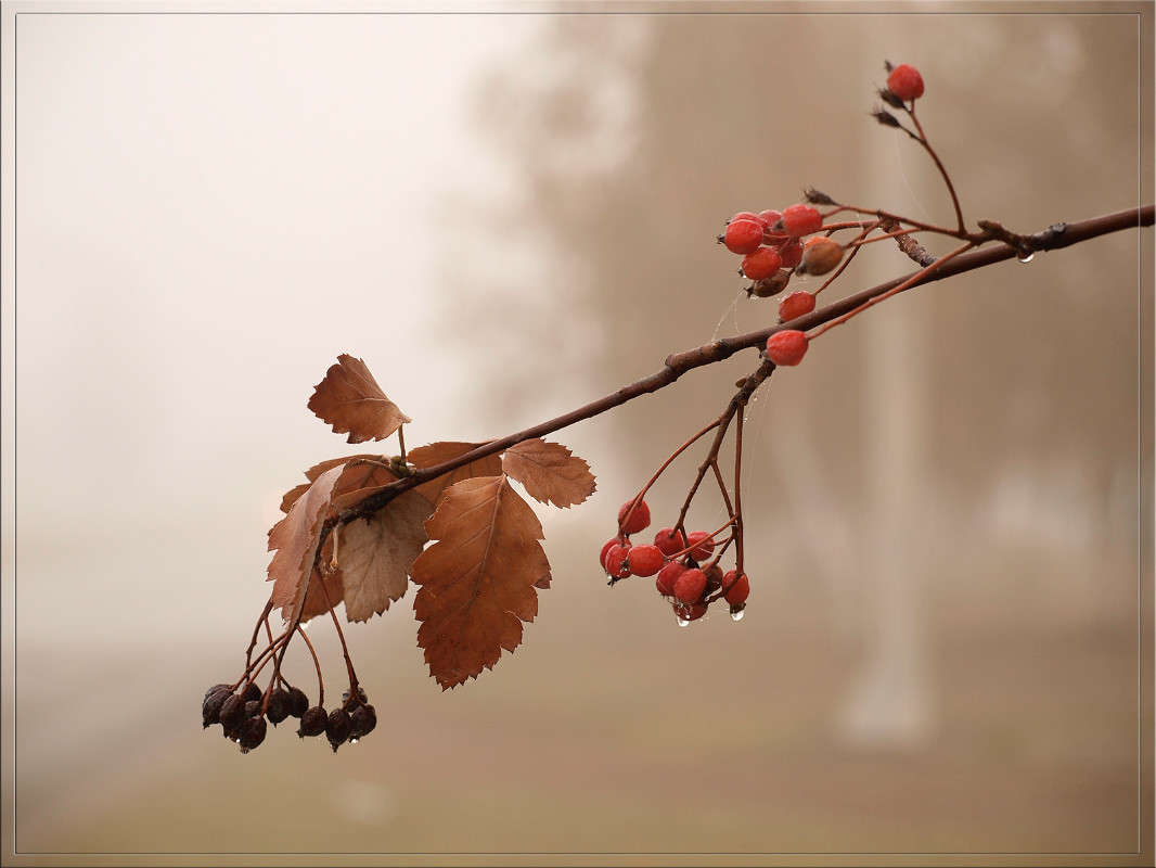 � ������ 4 ����� ������  �� PhotoGeek.ru #������ ��� �������