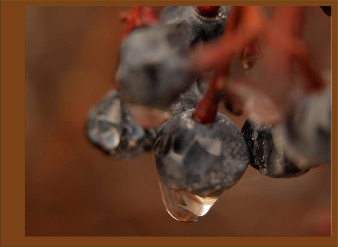 � ������ 5 ����� ������  �� PhotoGeek.ru #������ ��� �������