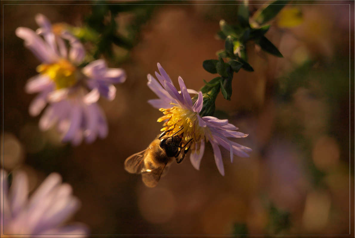 � ������ 7 ����� ������  �� PhotoGeek.ru #������ ��� �������