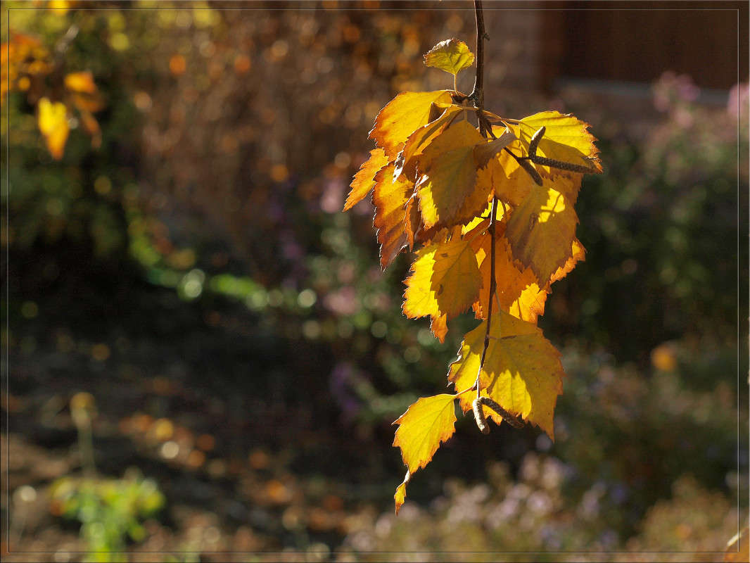 � ������ 8 ����� ������  �� PhotoGeek.ru #������ ��� �������