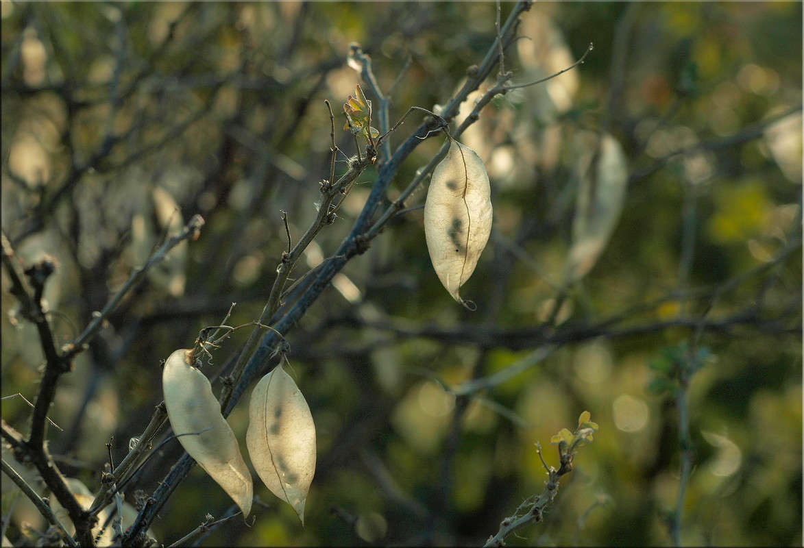 � ������ 9 ����� ������  �� PhotoGeek.ru #������ ��� �������