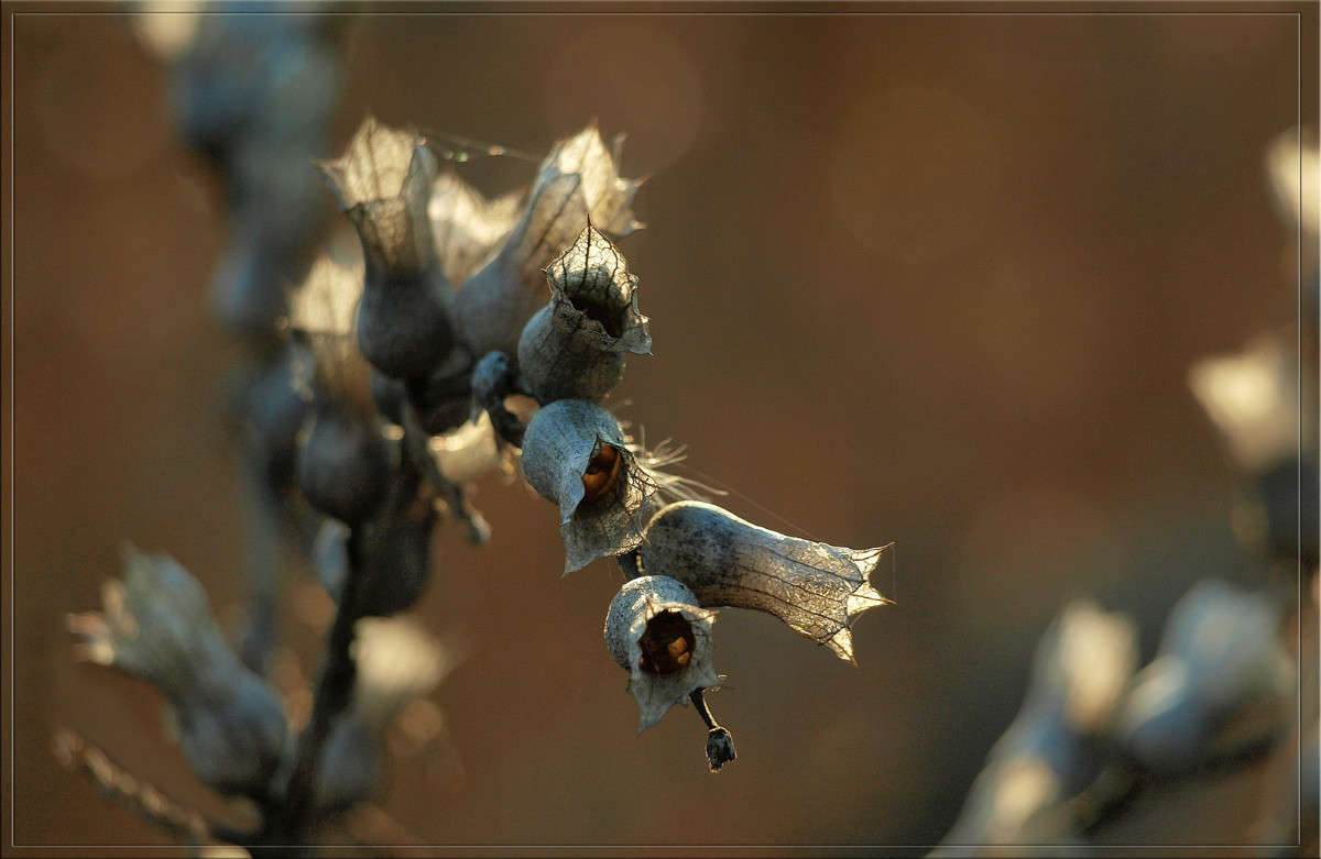 � ������ 10 ����� ������  �� PhotoGeek.ru #������ ��� �������