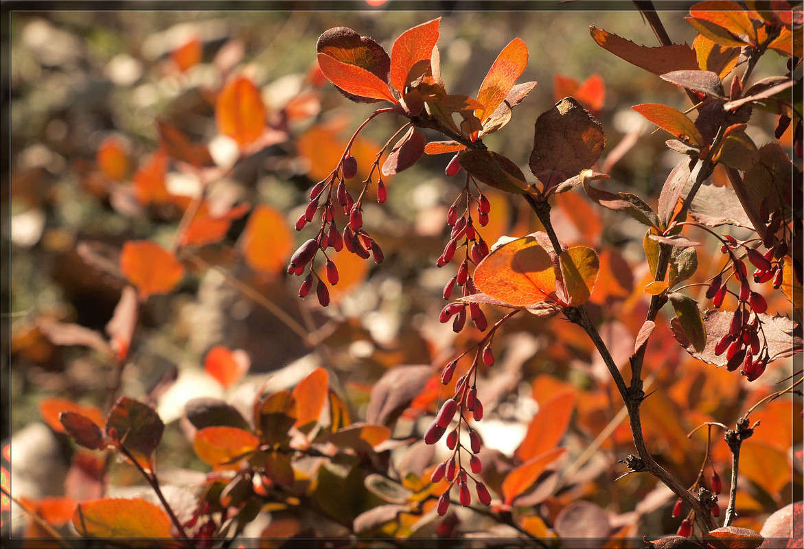 ������-��������� ����� ������  �� PhotoGeek.ru #������ ��� �������