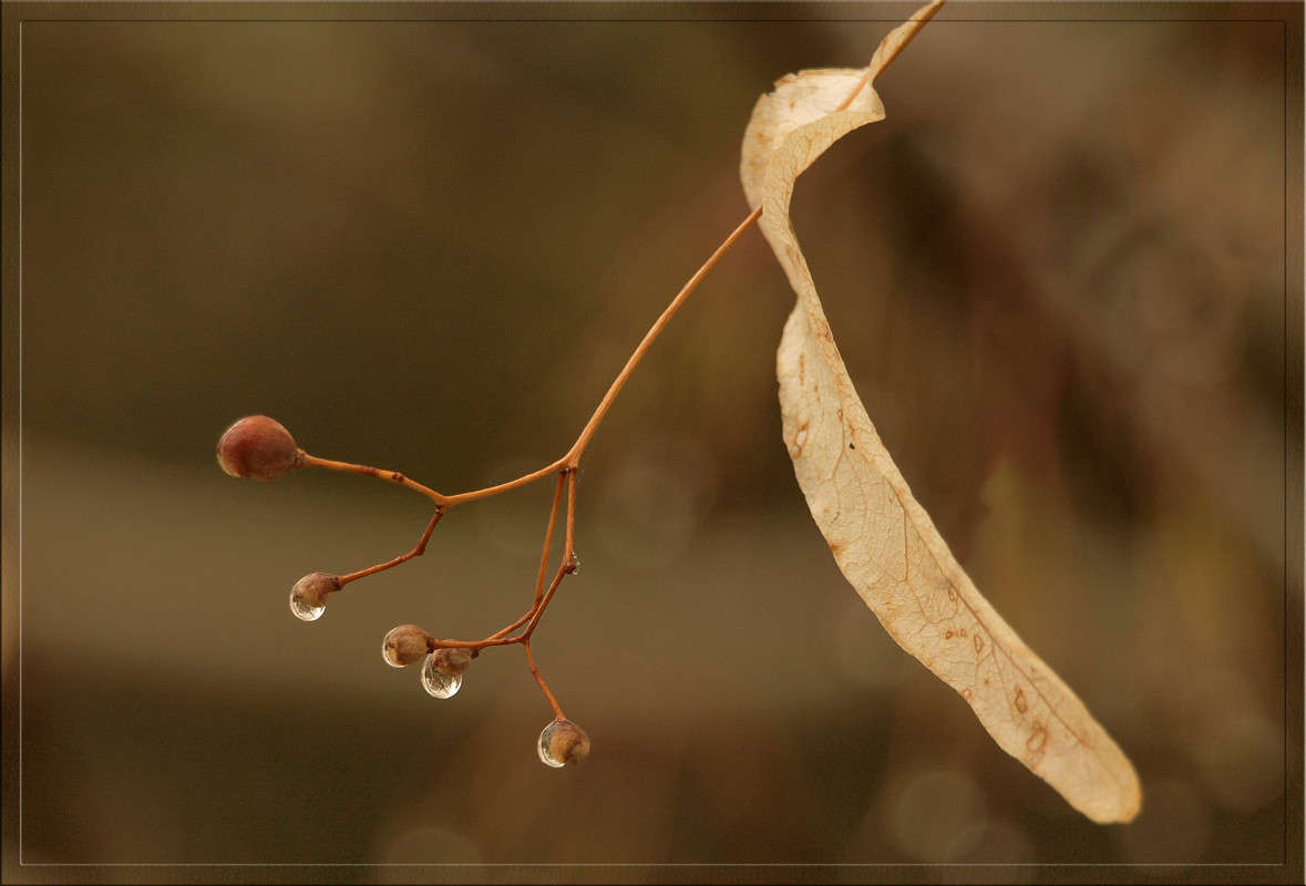 ����� ������ ����� ������  �� PhotoGeek.ru #������ ��� �������