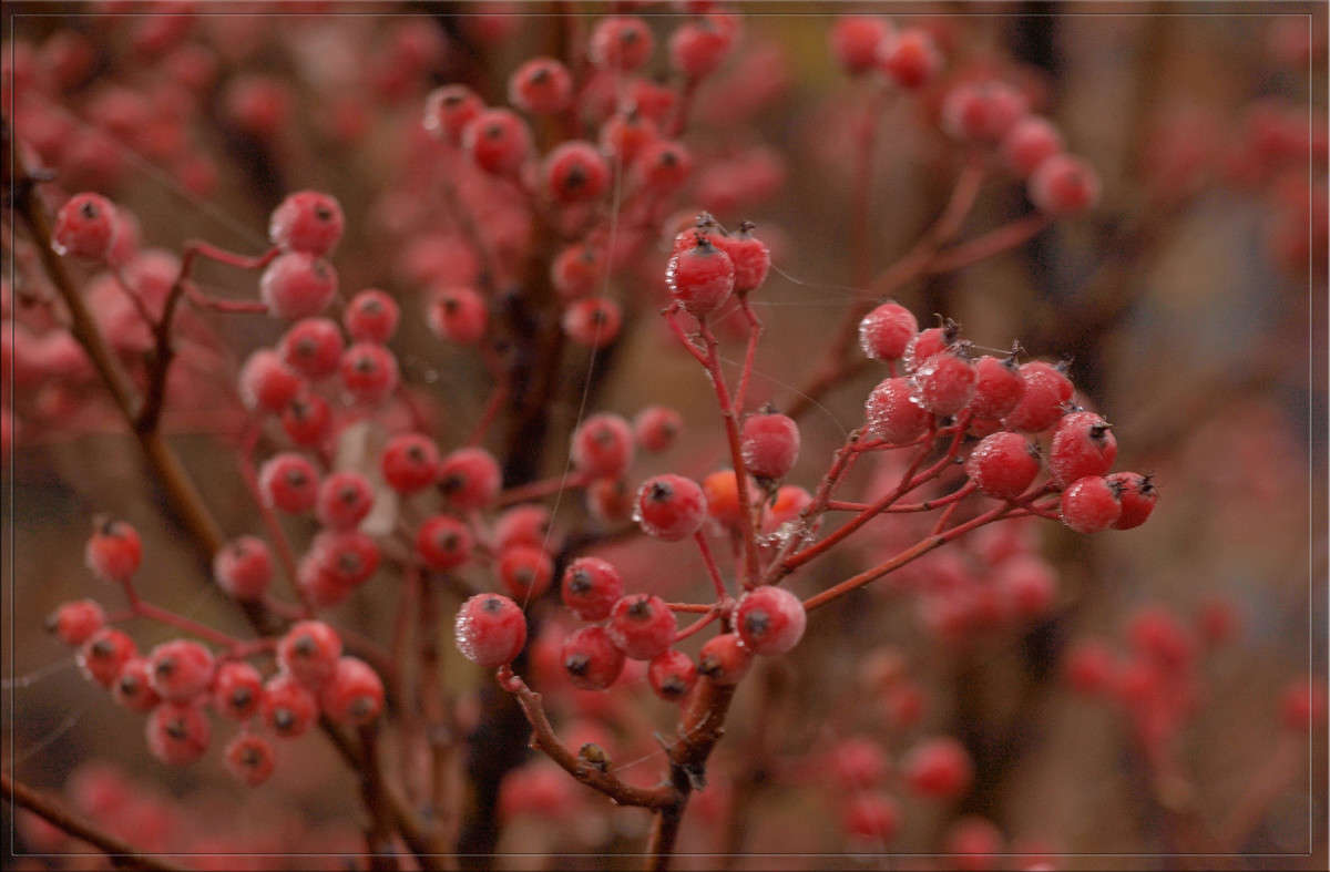 � ��������� � ��������� ����� ������  �� PhotoGeek.ru #������ ��� �������