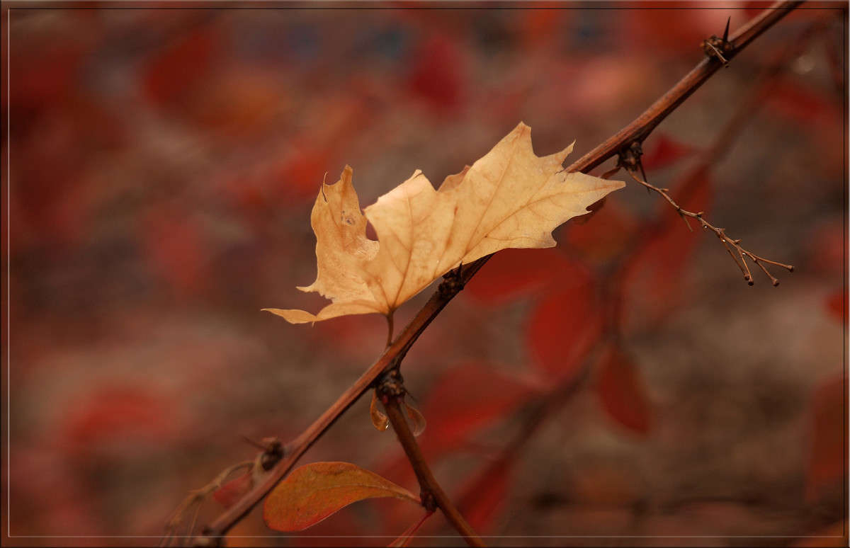 �� ������� �� ����� ����� ������  �� PhotoGeek.ru #������ ��� �������