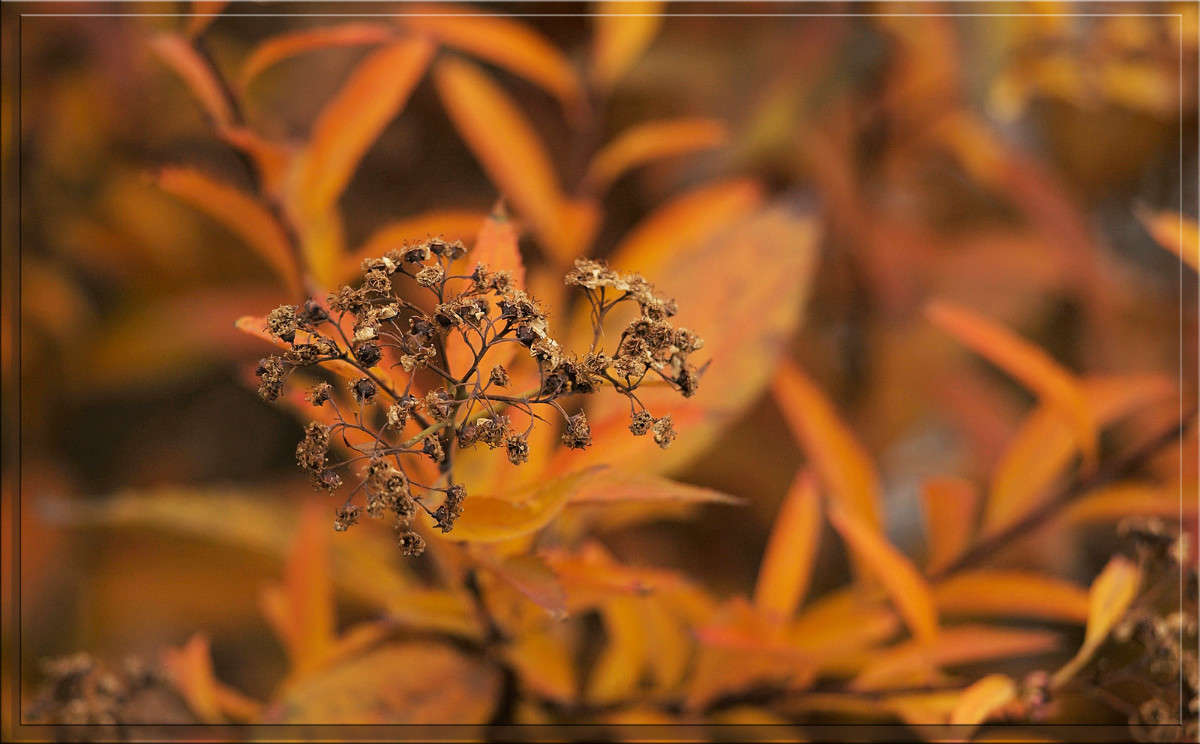 ��������� ����� ������  �� PhotoGeek.ru #������ ��� �������