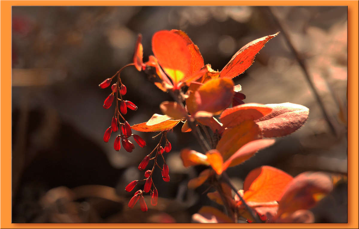 � ������ 14 ����� ������  �� PhotoGeek.ru #������ ��� �������