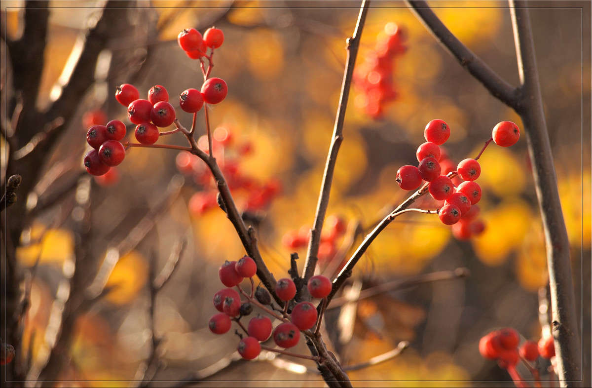 � ������ 13 ����� ������  �� PhotoGeek.ru #������ ��� �������