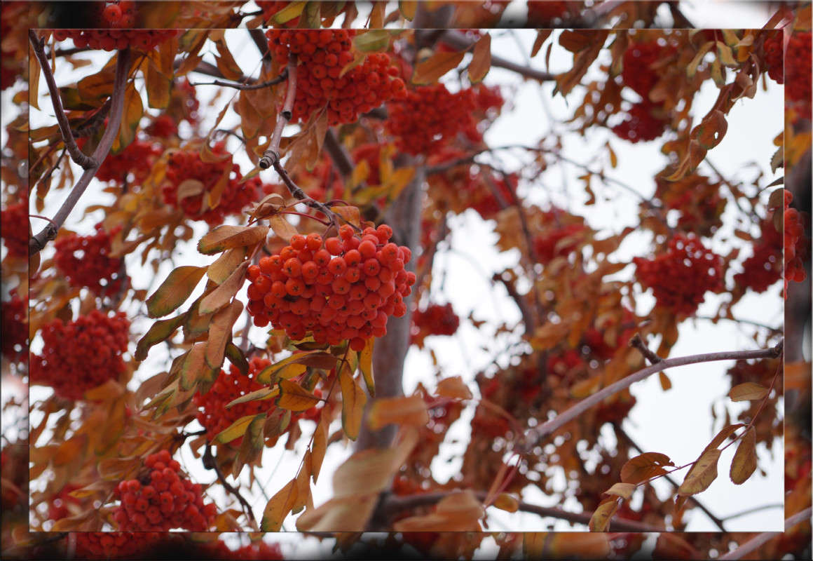 ����� ������� ����� ������  �� PhotoGeek.ru #������ ��� �������