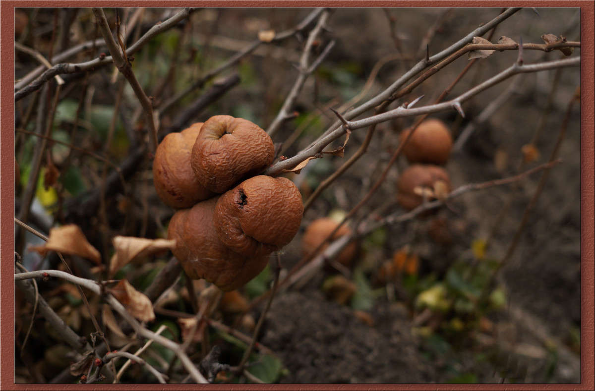 ������� �� ��������� ����� ������  �� PhotoGeek.ru #������ ��� �������