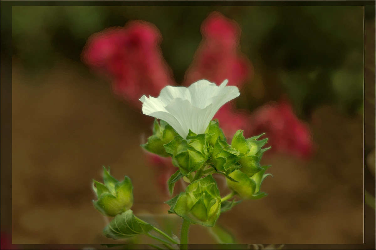 �������  � ���� ����� ������  �� PhotoGeek.ru #������ ��� �������