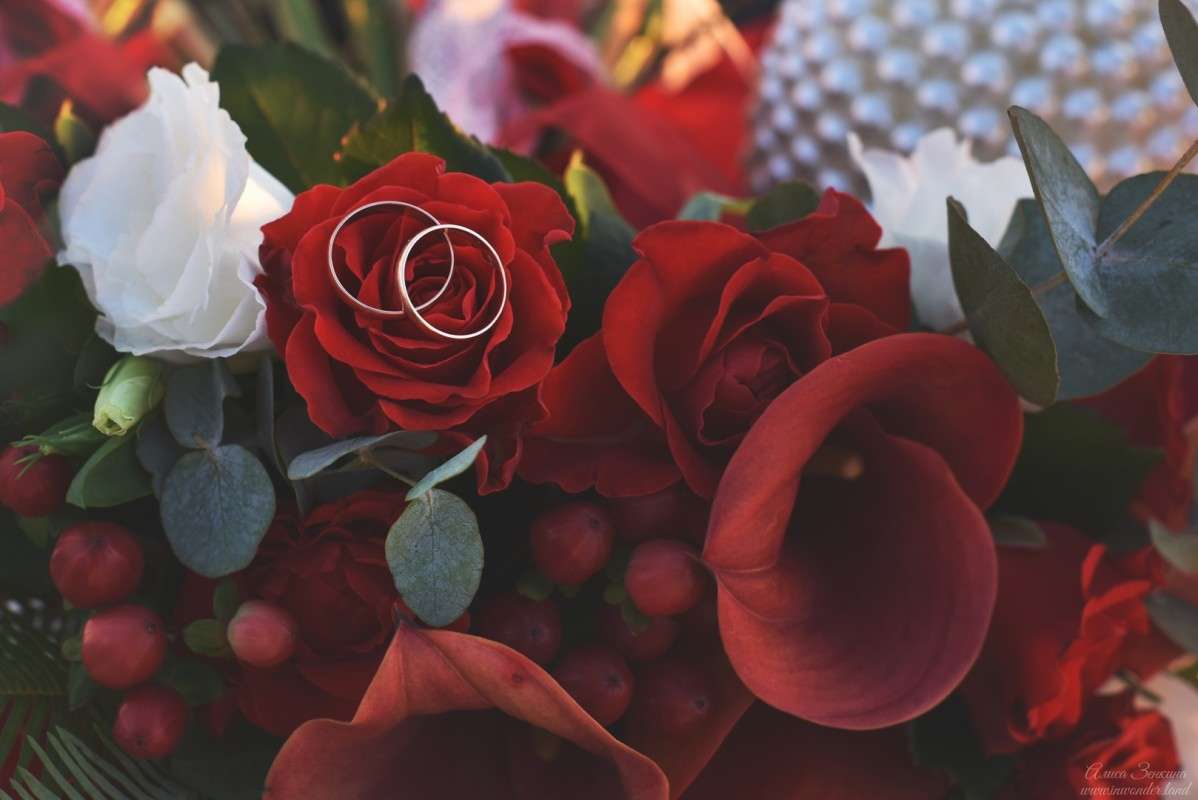 .... ����� Alice Zenkina �� PhotoGeek.ru #��������� ����������