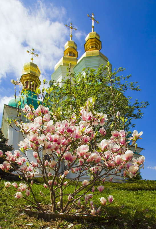 � ����� ����� ����� ���������  �� PhotoGeek.ru #�����