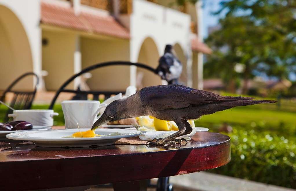 ������� ����� ���������  �� PhotoGeek.ru #�������� ���