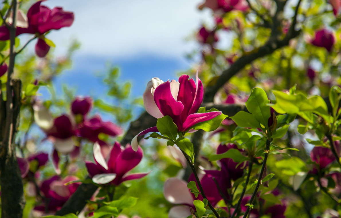 �������� ����� ���������  �� PhotoGeek.ru #������ ��� �������