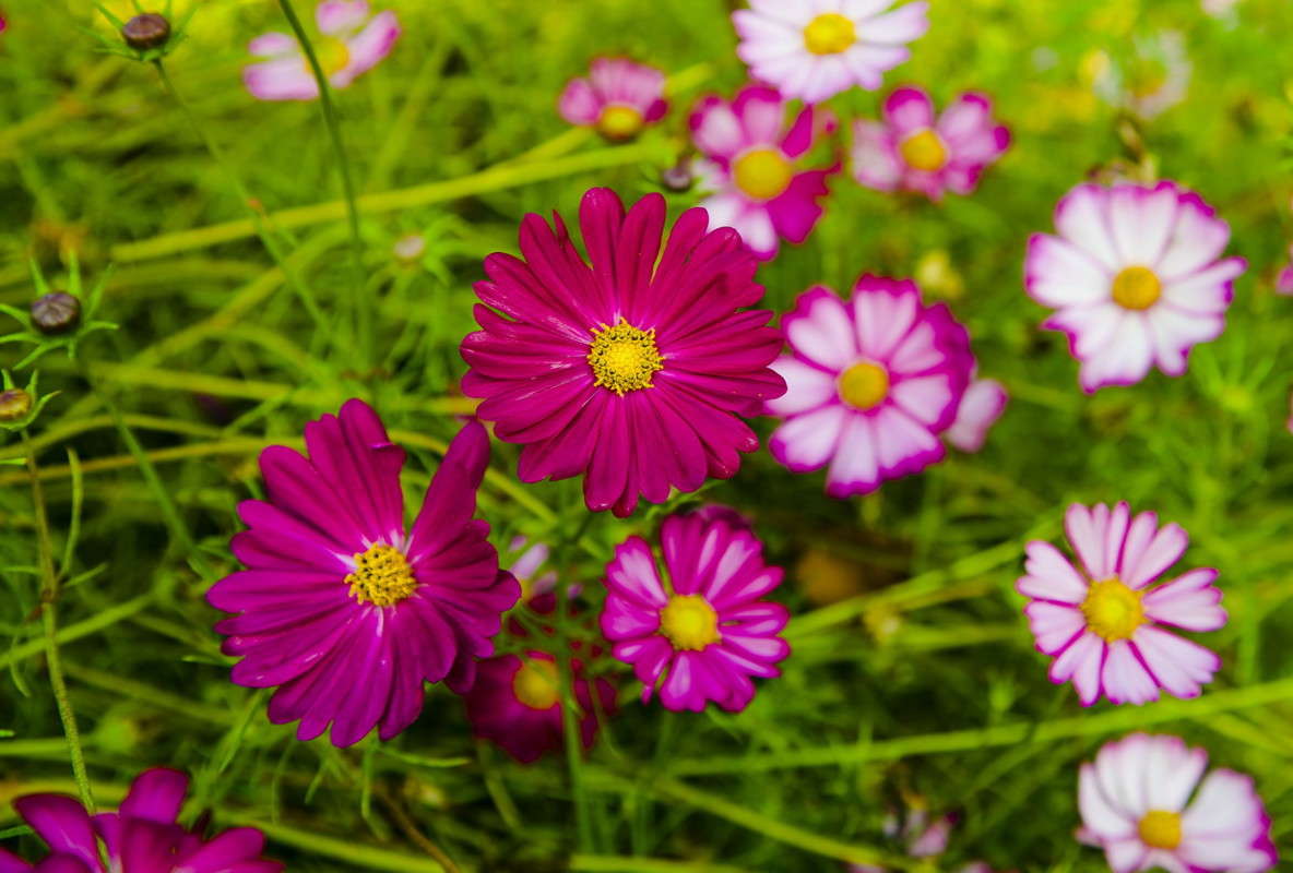 ������ ����� ���������  �� PhotoGeek.ru #������ ��� ������� #����� ��������������